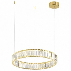 Подвесной светильник Odeon Light Vekia 5015/30L в Коротчаево - korotchaevo.mebel24.online | фото 2