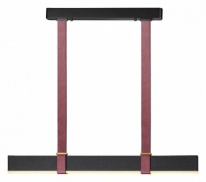 Подвесной светильник Odeon Light Vincent 6629/25L в Коротчаево - korotchaevo.mebel24.online | фото 2
