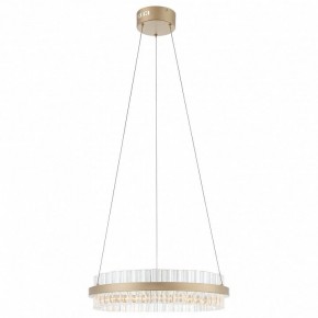 Подвесной светильник ST-Luce Cherio SL383.203.01 в Коротчаево - korotchaevo.mebel24.online | фото 3