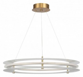 Подвесной светильник ST-Luce FAGY SL6245.203.01 в Коротчаево - korotchaevo.mebel24.online | фото 3