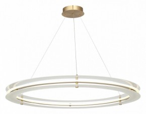Подвесной светильник ST-Luce FAGY SL6245.213.01 в Коротчаево - korotchaevo.mebel24.online | фото 4