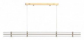 Подвесной светильник ST-Luce FAGY SL6245.223.01 в Коротчаево - korotchaevo.mebel24.online | фото 3