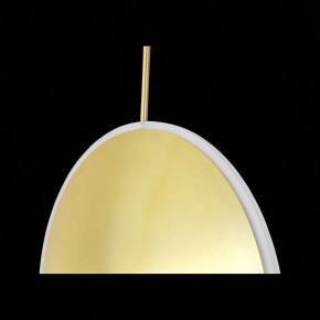 Подвесной светильник ST-Luce Imente SL1221.213.01 в Коротчаево - korotchaevo.mebel24.online | фото 9