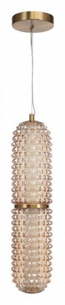 Подвесной светильник ST-Luce SAGUARO SL6144.303.01 в Коротчаево - korotchaevo.mebel24.online | фото 3