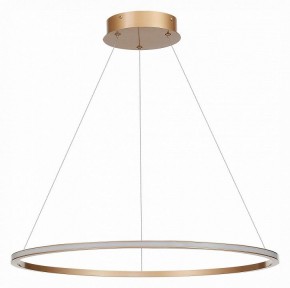 Подвесной светильник ST-Luce ST604 OUT ST604.243.34 в Коротчаево - korotchaevo.mebel24.online | фото 2