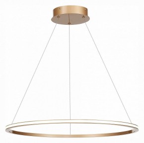 Подвесной светильник ST-Luce ST604 OUT ST604.243.34 в Коротчаево - korotchaevo.mebel24.online | фото 3