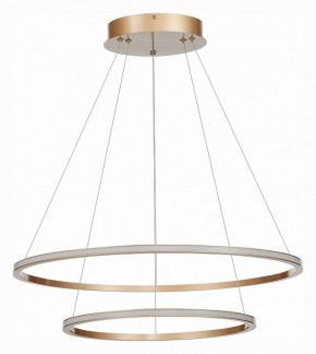Подвесной светильник ST-Luce ST604 OUT ST604.243.56 в Коротчаево - korotchaevo.mebel24.online | фото 2