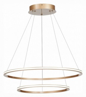Подвесной светильник ST-Luce ST604 OUT ST604.243.56 в Коротчаево - korotchaevo.mebel24.online | фото 3