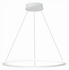 Подвесной светильник ST-Luce ST604 OUT ST604.543.34 в Коротчаево - korotchaevo.mebel24.online | фото 3
