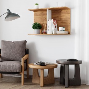 Полка Ион-3 (крафт/белый) в Коротчаево - korotchaevo.mebel24.online | фото 3