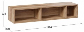 Полка навесная ТД-102.28 в Коротчаево - korotchaevo.mebel24.online | фото 9