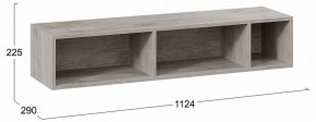 Полка навесная ТД-102.28 в Коротчаево - korotchaevo.mebel24.online | фото 8
