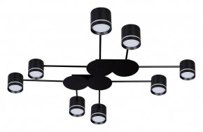 Потолочная люстра Arte Lamp Legacy A8024PL-8BK в Коротчаево - korotchaevo.mebel24.online | фото