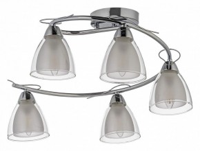 Потолочная люстра Arti Lampadari Paola, Tavenna Nickel Paola E 1.1.5 N в Коротчаево - korotchaevo.mebel24.online | фото