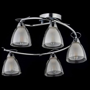 Потолочная люстра Arti Lampadari Paola, Tavenna Nickel Paola E 1.1.5 N в Коротчаево - korotchaevo.mebel24.online | фото 2