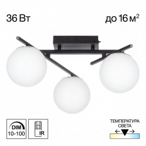 Потолочная люстра Citilux Dorsy CL223132 в Коротчаево - korotchaevo.mebel24.online | фото 10