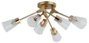 Потолочная люстра Escada Felicia 1137/6P в Коротчаево - korotchaevo.mebel24.online | фото