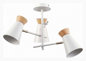 Потолочная люстра EVOLUCE Alfeo SLE1252-502-03 в Коротчаево - korotchaevo.mebel24.online | фото 2