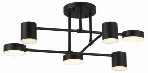Потолочная люстра EVOLUCE Nobel SLE201042-06 в Коротчаево - korotchaevo.mebel24.online | фото 10