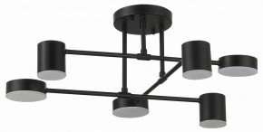 Потолочная люстра EVOLUCE Nobel SLE201042-06 в Коротчаево - korotchaevo.mebel24.online | фото 11