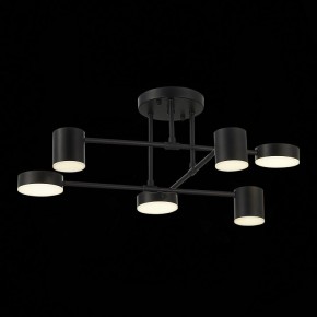 Потолочная люстра EVOLUCE Nobel SLE201042-06 в Коротчаево - korotchaevo.mebel24.online | фото 13