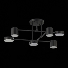 Потолочная люстра EVOLUCE Nobel SLE201042-06 в Коротчаево - korotchaevo.mebel24.online | фото 14