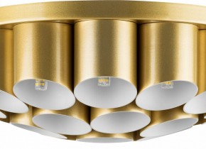Потолочная люстра Lightstar Siena 720222 в Коротчаево - korotchaevo.mebel24.online | фото 3
