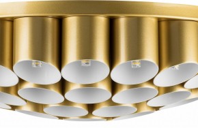 Потолочная люстра Lightstar Siena 720402 в Коротчаево - korotchaevo.mebel24.online | фото 3