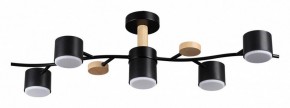Потолочная люстра Lumion Crypto 8194/5C в Коротчаево - korotchaevo.mebel24.online | фото