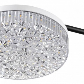 Потолочная люстра Lumion Didana 8236/4CL в Коротчаево - korotchaevo.mebel24.online | фото 10