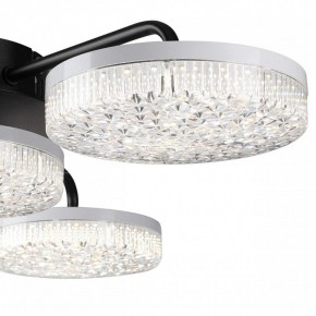 Потолочная люстра Lumion Didana 8236/4CL в Коротчаево - korotchaevo.mebel24.online | фото 7