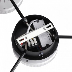 Потолочная люстра Lumion Didana 8236/4CL в Коротчаево - korotchaevo.mebel24.online | фото 9