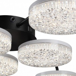Потолочная люстра Lumion Didana 8236/6CL в Коротчаево - korotchaevo.mebel24.online | фото 9