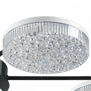 Потолочная люстра Lumion Didana 8236/7CL в Коротчаево - korotchaevo.mebel24.online | фото 9