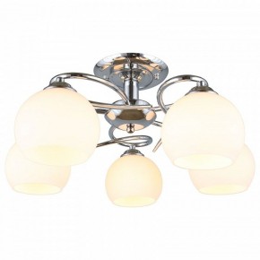 Потолочная люстра Omnilux Casoria OML-25107-05 в Коротчаево - korotchaevo.mebel24.online | фото 2