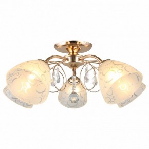 Потолочная люстра Omnilux Castellaro OML-29007-05 в Коротчаево - korotchaevo.mebel24.online | фото 2