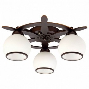 Потолочная люстра Omnilux Fronteira OML-50507-03 в Коротчаево - korotchaevo.mebel24.online | фото