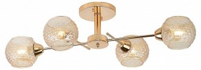 Потолочная люстра Rivoli Amalia Б0050815 в Коротчаево - korotchaevo.mebel24.online | фото 2