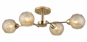 Потолочная люстра Rivoli Amalia Б0050815 в Коротчаево - korotchaevo.mebel24.online | фото 3