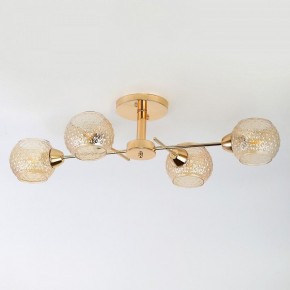 Потолочная люстра Rivoli Amalia Б0050815 в Коротчаево - korotchaevo.mebel24.online | фото 7