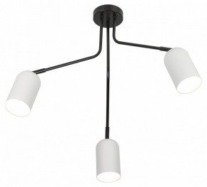 Потолочная люстра Rivoli Rosalinda Б0064987 в Коротчаево - korotchaevo.mebel24.online | фото 4