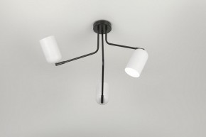 Потолочная люстра Rivoli Rosalinda Б0064987 в Коротчаево - korotchaevo.mebel24.online | фото 7