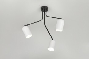 Потолочная люстра Rivoli Rosalinda Б0064987 в Коротчаево - korotchaevo.mebel24.online | фото 8