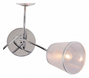 Потолочная люстра Rivoli Shirley Б0059981 в Коротчаево - korotchaevo.mebel24.online | фото 4