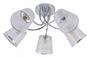 Потолочная люстра Rivoli Shirley Б0059982 в Коротчаево - korotchaevo.mebel24.online | фото