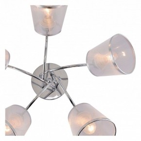 Потолочная люстра Rivoli Shirley Б0059982 в Коротчаево - korotchaevo.mebel24.online | фото 5