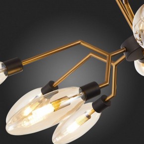 Потолочная люстра ST-Luce Desima SL1174.303.12 в Коротчаево - korotchaevo.mebel24.online | фото 10
