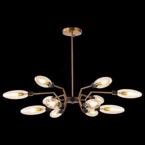 Потолочная люстра ST-Luce Desima SL1174.303.12 в Коротчаево - korotchaevo.mebel24.online | фото 2