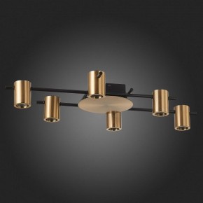 Потолочная люстра ST-Luce Veroli SL1207.402.06 в Коротчаево - korotchaevo.mebel24.online | фото 4