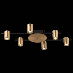 Потолочная люстра ST-Luce Veroli SL1207.402.06 в Коротчаево - korotchaevo.mebel24.online | фото 5